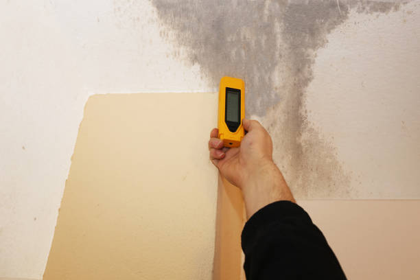 Best Airborne Mold Testing  in Coats Bend, AL