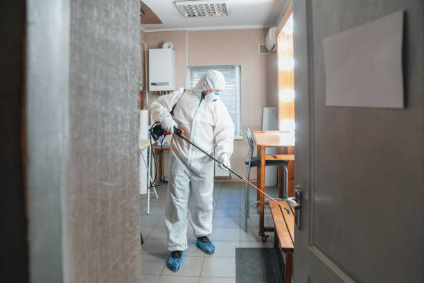 Best Crawl Space Mold Remediation  in Coats Bend, AL