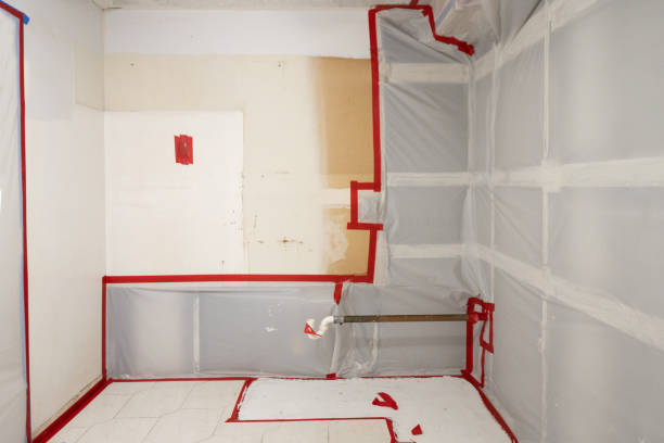 Reliable Coats Bend, AL Mold Removal Solutions